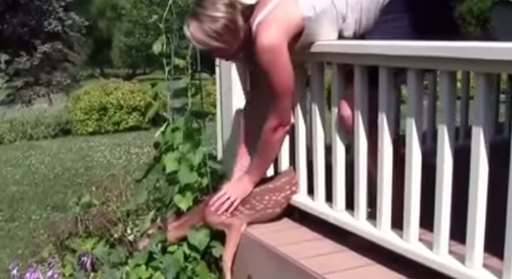 Halbuki Herkes Hayvanları Biraz Sevse...