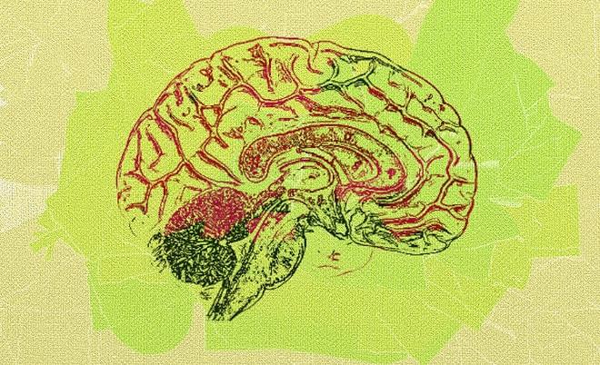 Beynini Tam Kapasite Kullanmak İsteyenlere: Zihin Haritaları