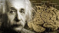 20. Yüzyıl'ın En Büyük Dehası Olan Einstein Hakkında Muhtemelen Duymadığınız 15 Bilgi