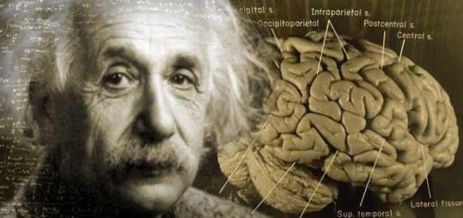 20. Yüzyıl'ın En Büyük Dehası Olan Einstein Hakkında Muhtemelen Duymadığınız 15 Bilgi
