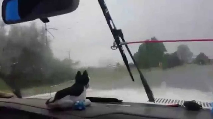 Yağmurlu Havada Aracının Silecekleri Çalışmayan Adamdan Pratik Çözüm