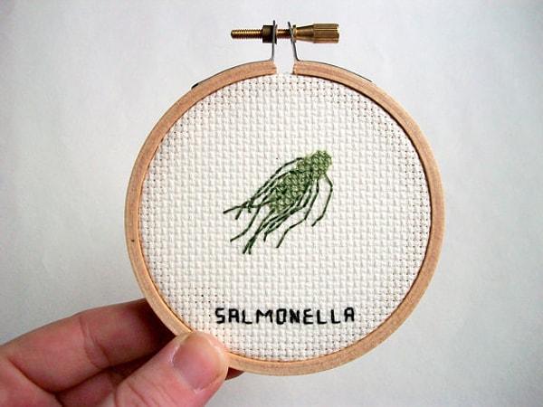 14. Salmonella - Tifo hastalığına yol açar.