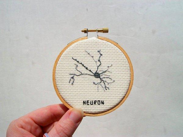 21. Sinir sistemi hücresi Nöron