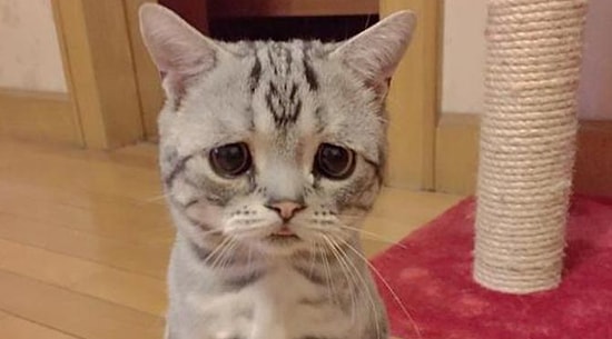 'Sen De Üzülmüşsündür Ama...' Diyerek Üzüldüğünüz Şeyi Ciddiye Almayan 23 Kişi