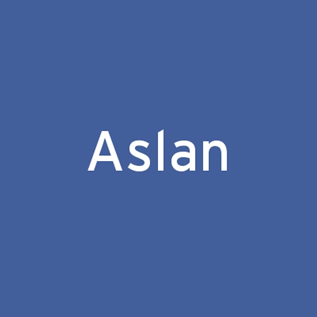 Aslan!