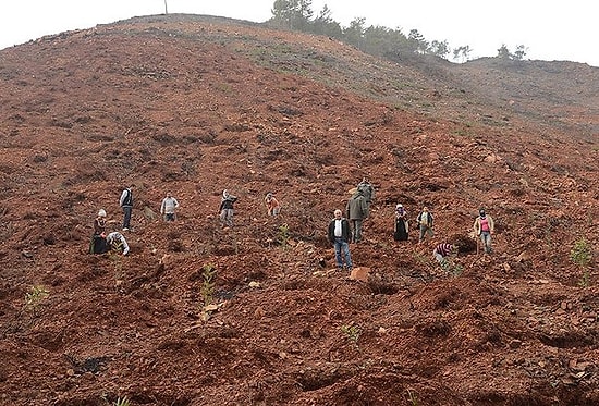 Adrasan 3 Yıl Sonra Eski Haline Dönmüş Olacak