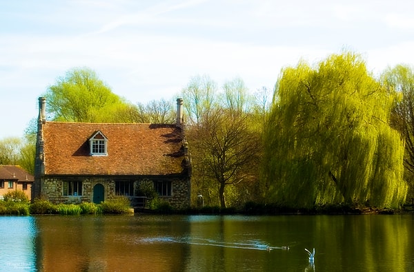 1. Bourne Mill, Colchester