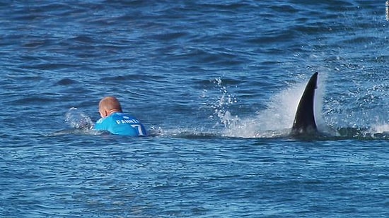 Sörf Tahtası Üzerindeki Sporcuya Canlı Yayın Sırasında Saldıran Köpek Balığı