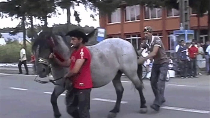 "Eden Bulur" Deyiminin 17 İspatı