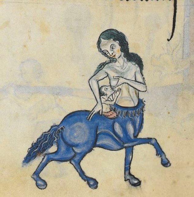 2. Like any other mammals, baby centaurs need to be breastfed. But how? From human breasts or horse breasts of the mother? Or from both for different parts of baby's body?