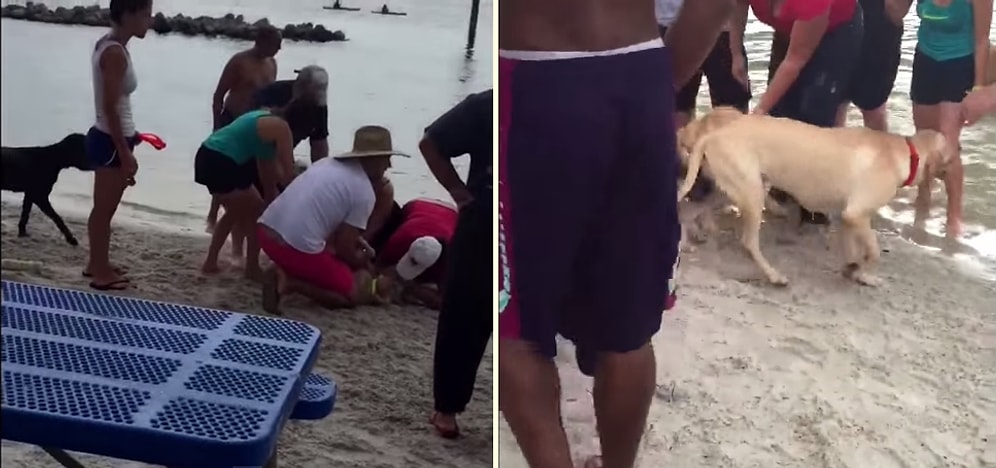 Boğulan Köpeğe Kalp Masajı Yaparak Hayata Döndüren İyi İnsanlar