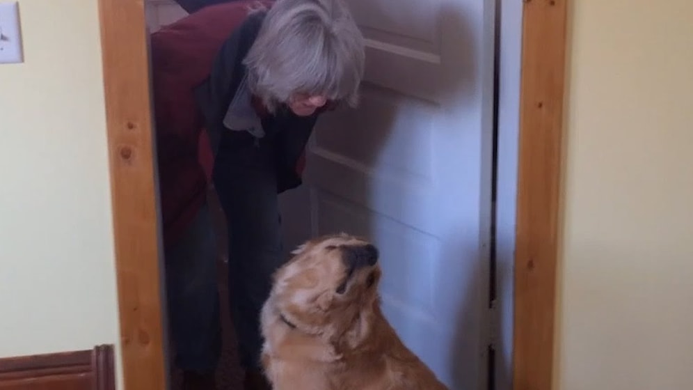 Sahibini Öpmek İstemeyen Sevimli Köpek