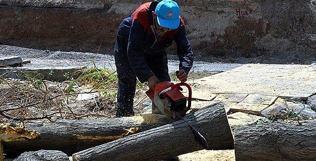 13. Odun kırma zahmetinden kurtaran hızarcılar