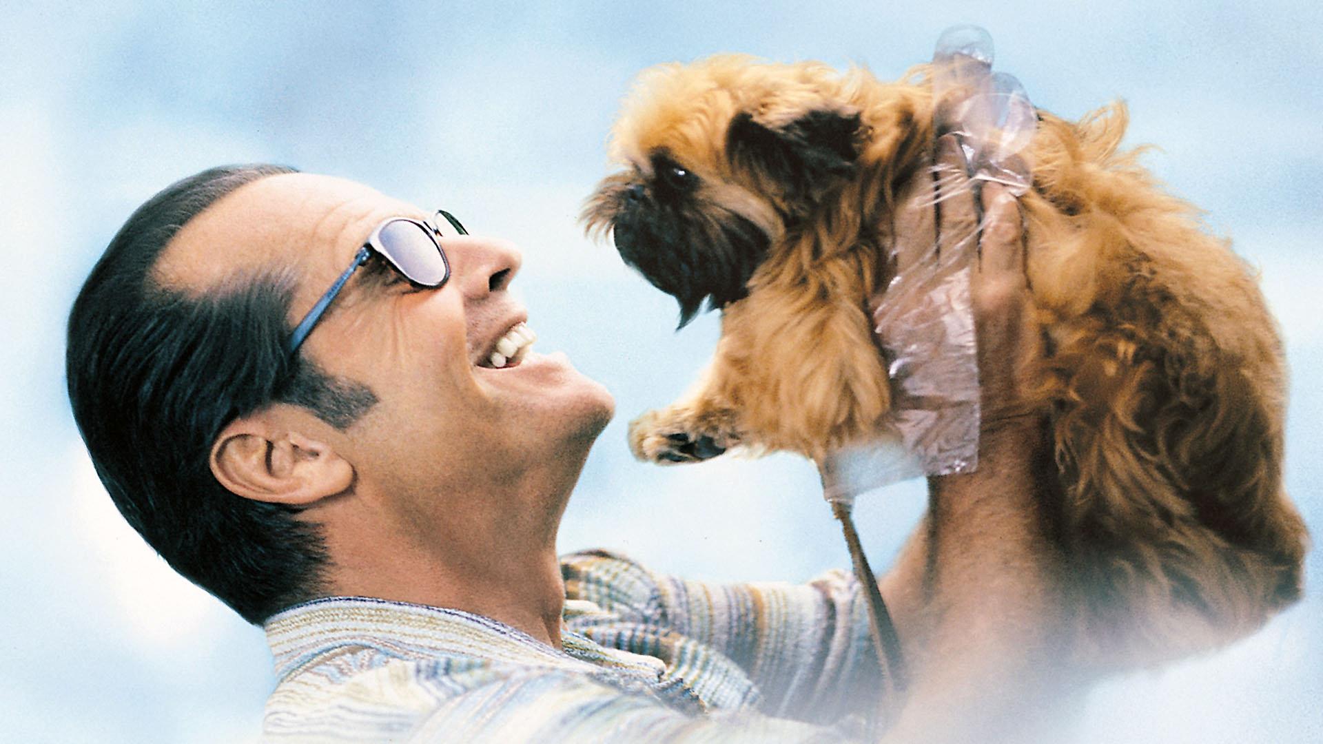 Köpekler hakkında en dokunaklı film Köpekler hakkında en dokunaklı film