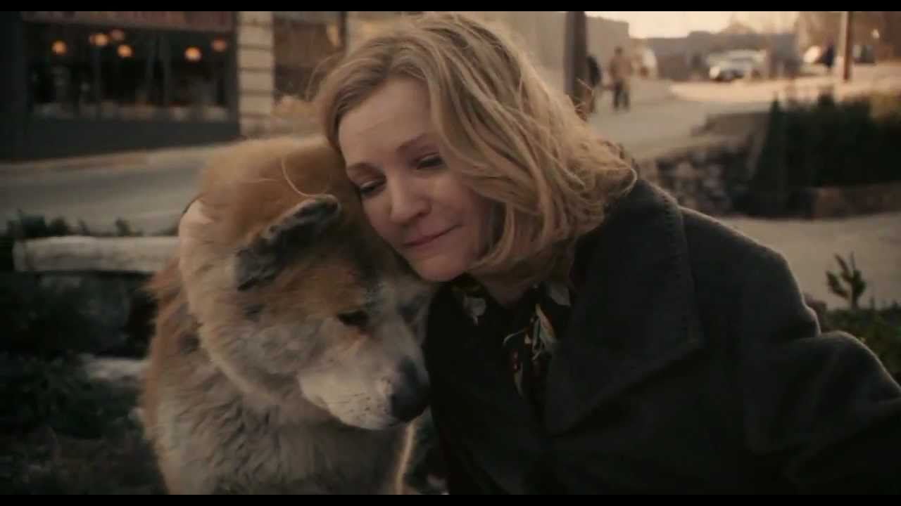 Köpekler hakkında en dokunaklı film Köpekler hakkında en dokunaklı film