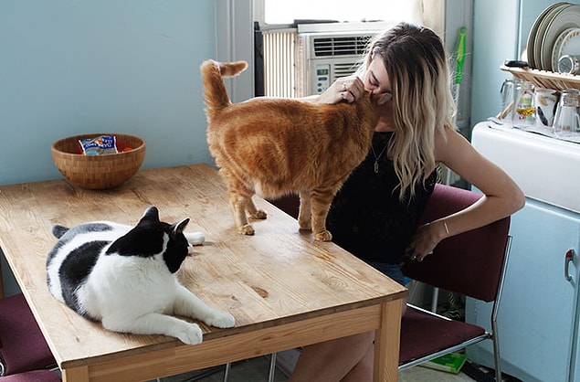Stephanie kedileri Simon ve Oliver ile Williamsburg'da yaşıyor.
