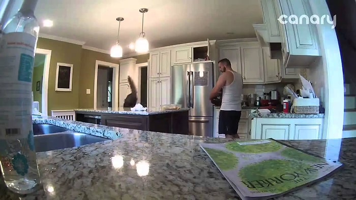 Kedi Besliyorsanız Kahvaltınız Konusunda Daha Dikkatli Olmalısınız!