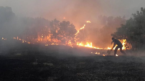Lice'deki Yangına Müdahale Sürüyor