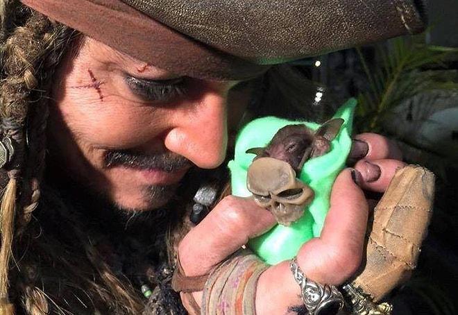 Bu Günü Kaptan Jack Sparrow'un Elleriyle Yarasa Beslediği Gün Olarak Hatırlayacaksınız