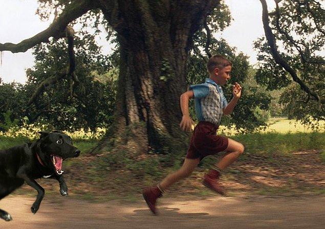 3. Run Forrest! Run!