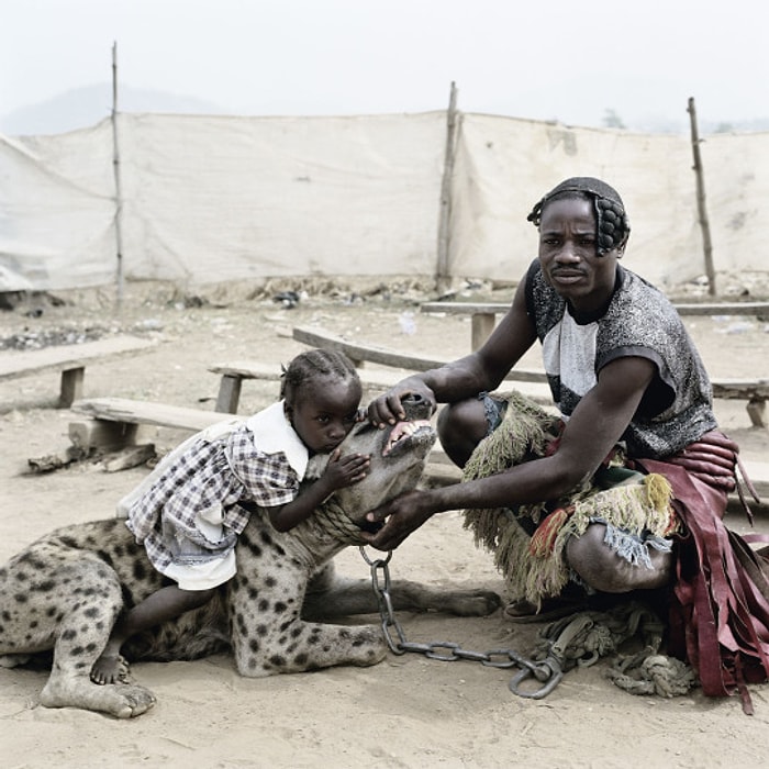 17 Fotoğrafla Güney Afrika'nın Tekinsiz Sokaklarının Evcilleştirilmiş Vahşi Hayvanları