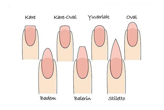 Nail Shapes