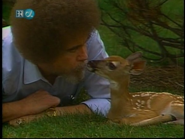 Sonraki yıl boyama kursları veren Bob Ross boyadığı tabloların çoğunu öğrencilerine hediye etti.