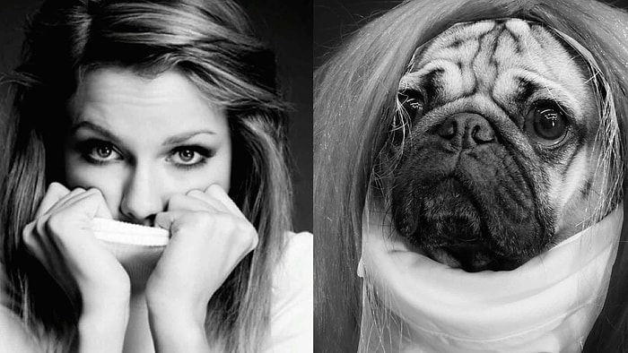 'Doug the Pug' ile Taylor Swift'in Instagram Fotoğrafları Yeniden Hayat Bulursa!