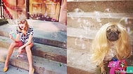 Taylor Swift'in Instagram Fotoğraflarını Taklit Eden Sevimli Pug Doug