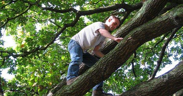 Araştırmacılar, 18-59 yaşındaki katılımcıların hafızasını test ettikten sonra onlardan ağaca tırmanmak, tahta üzerinde dengede yürümek ya da emeklemek, bazı nesneleri düşürmeden taşımak gibi fiziksel faaliyetlerde bulunmasını istedi.