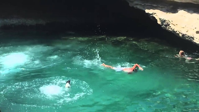 'Bu İş Öyle Değil Böyle Yapılır' Dercesine Kayadan Atlayarak İnsanlara Meydan Okuyan Köpek