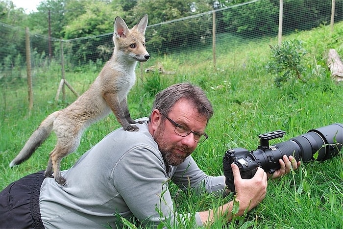 Tilki Avlayan İnsanları Engellemek Adına Kampanya Başlatan Doğa Dostu Fotoğrafçı