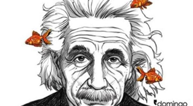 Einstein Bulmacası! İnsanların %80'inin Yanlış Cevapladığı Soruya Cevabın Ne Olurdu?
