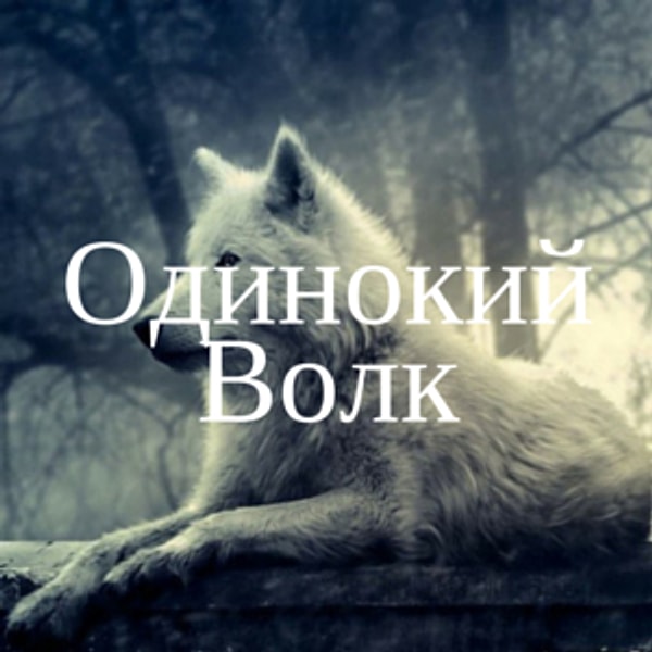 Одинокий Волк