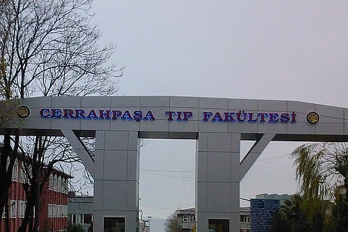 2. Türk Tıbbının İki Devi Çapa ve Cerrahpaşa İflasın Eşiğinde