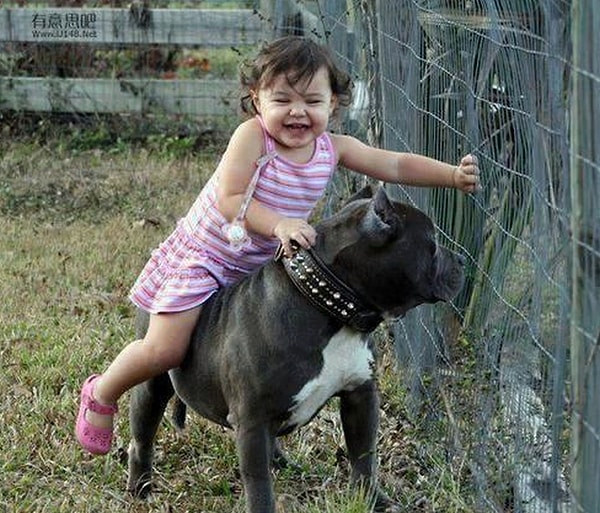 8. Иногда довезет на спине куда надо.