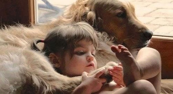 9. Иногда послужит в качестве подушки.