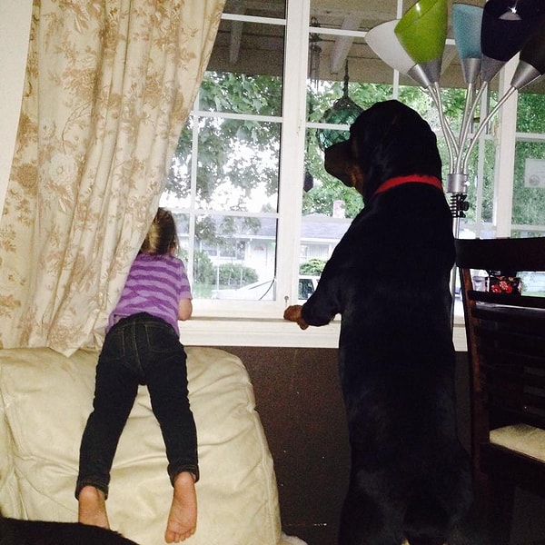 16. Вместе будут ждать вашего прихода.