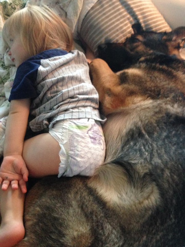 19. Они лучшие друзья ваших детей.