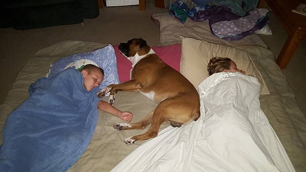 17. Они не оставят детей без присмотра даже во сне.