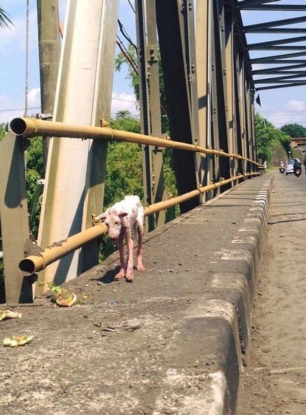 Место, где была найдена Келси.