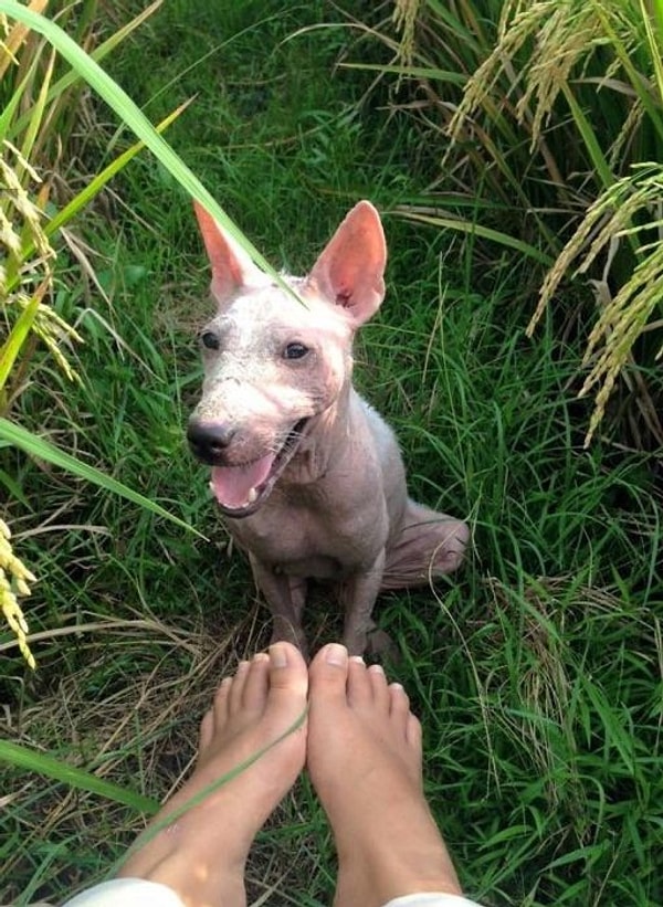 Постепенно Келси начала приходить в себя, и это видно по ее веселой мордашке.