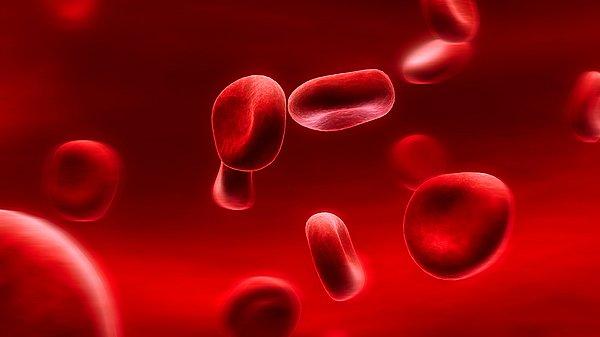 7. İnsan vücudunda yaklaşık 5 buçuk litre kan bulunur. Bu kan, kalp sayesinde vücutta dakikada 3 tur atar.