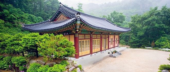 Güney Kore'ye Gitmek İçin 5 Sebep