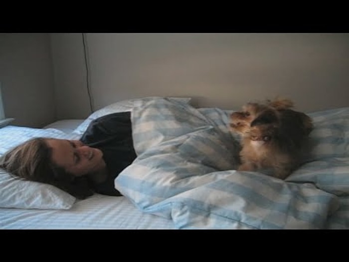 Köpeklerin Dünyanın En İlginç ve Şapşik Hayvanları Olduklarının Kanıtı Görüntüler