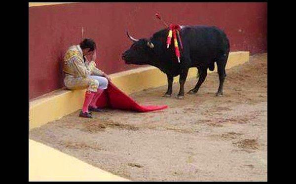 9. Boğa güreşi sırasında yapılanın acımasızlık olduğunu düşünüp duran matador.