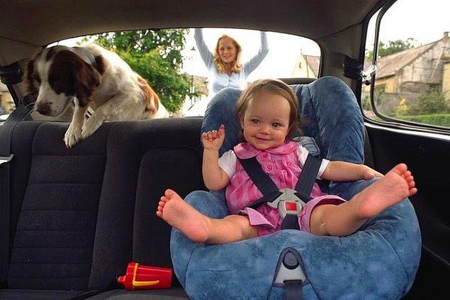 5. You have to take them to park almost every day because they are extremely happy when they go out.