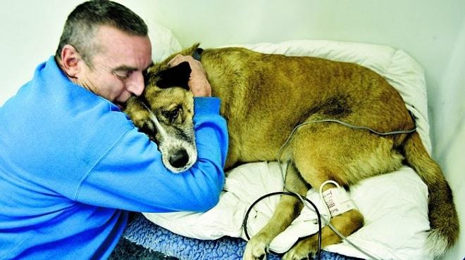 Günlük Yaşamdan Bir Kahramanlık Öyküsü: Köpeğini Kurtarmak İçin Alevler İçine Dalan Adam