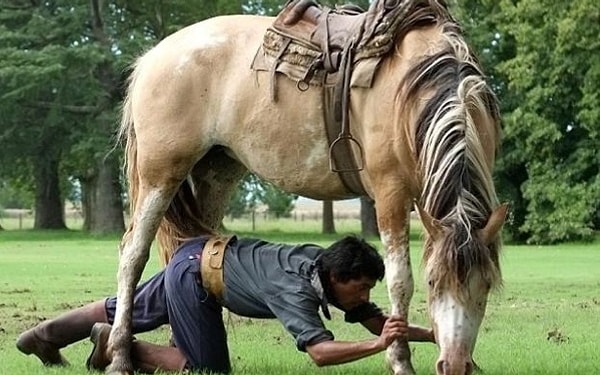 Atlara Fısıldayan Adam (The Horse Whisperer)