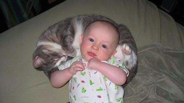 3. "Bundan sonra yastık kullanmak falan yok. En yakın arkadaşın bir kedi olunca, senin için yastık bile oluyor canını yediğim. 😊😊"